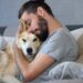Comment donner de l'affection à un chien ?