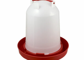 Comment donner de l'eau aux poules ?