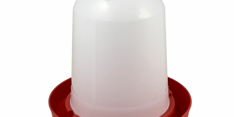 Comment donner de l'eau aux poules ?