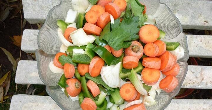 Comment donner des légumes au cochon d'Inde ?