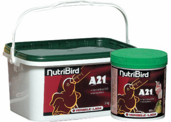 Comment donner du NutriBird ?