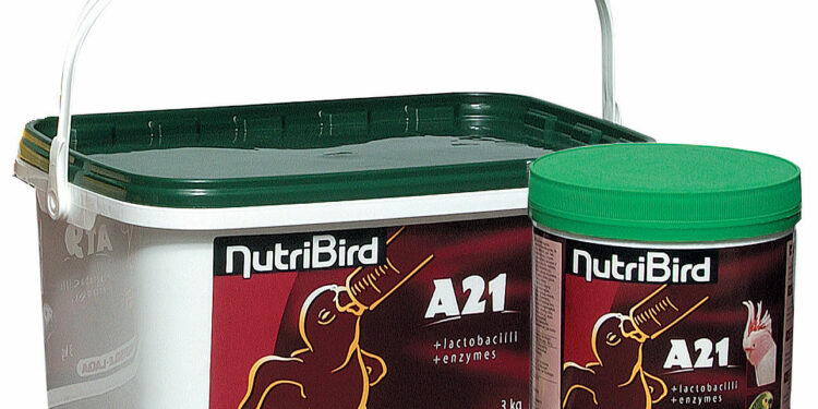 Comment donner du NutriBird ?