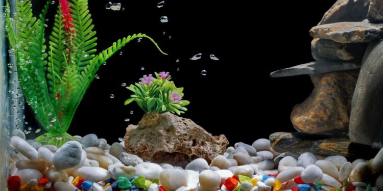 Comment donner du relief à un aquarium ?