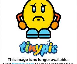 Comment dorment les octodons ?