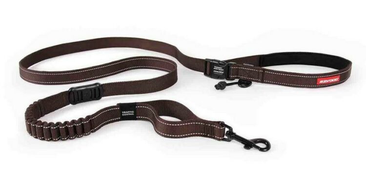 Comment dresser son chien en laisse ?