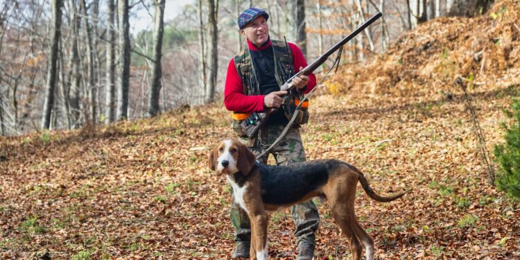 Comment dresser un chien à la chasse ?