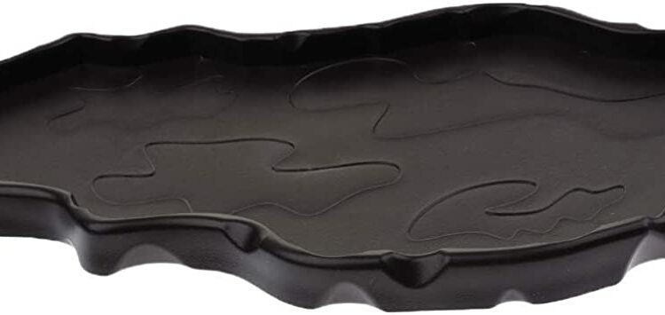 Comment éliminer les geckos ?