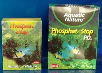 Comment eliminer phosphate ?