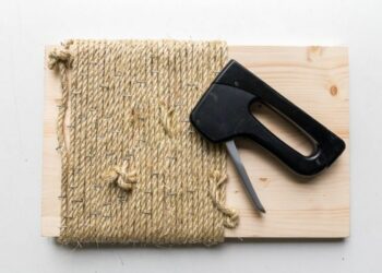 Comment éloigner le chat du canapé ?