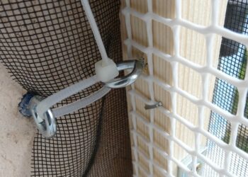 Comment éloigner le chat du canapé ?