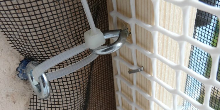 Comment éloigner le chat du canapé ?
