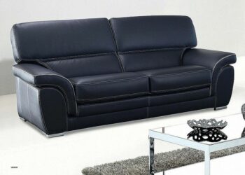 Comment éloigner le chat du canapé ?