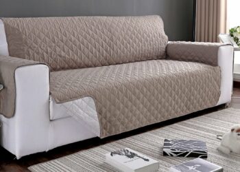 Comment éloigner les chats des canapés ?