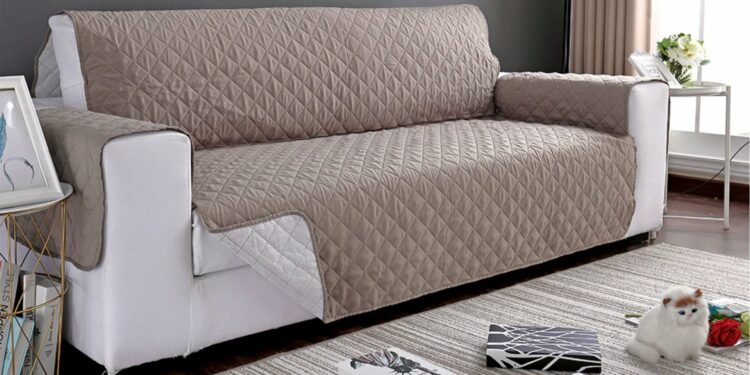 Comment éloigner les chats des canapés ?