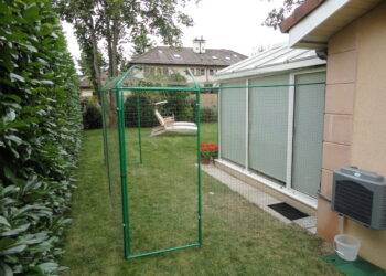 Comment empêcher chat d'aller trop loin ?