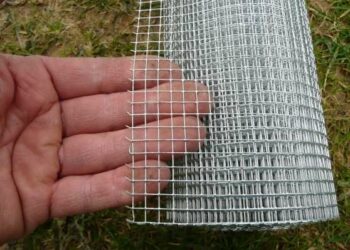 Comment empêcher les rats de monter ?