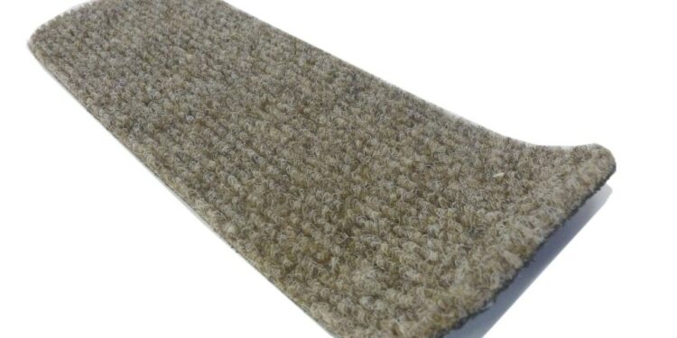 Comment empêcher mon chien de faire ses besoins dans la maison la nuit ?