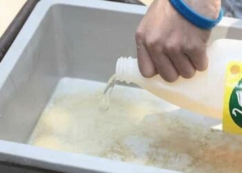 Comment empêcher un chat de faire ses besoins dans un endroit ?