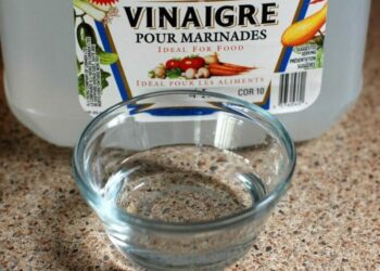 Comment empêcher un chien de faire ses besoins à un endroit ?