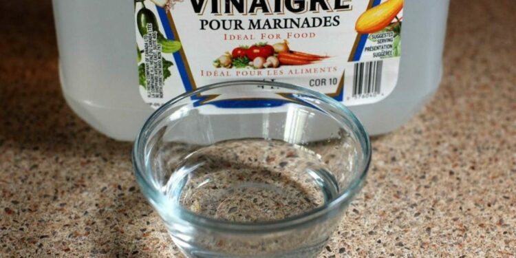 Comment empêcher un chien de faire ses besoins à un endroit ?