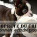 Comment empêcher un chien de faire ses besoins dans la maison la nuit ?