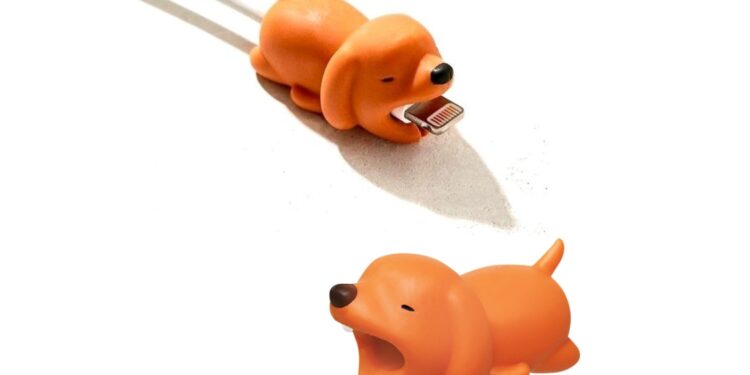 Comment empêcher un chien de manger les câbles ?