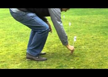 Comment empêcher un chien de sortir du jardin ?