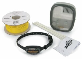 Comment empêcher un chien de sortir du terrain ?