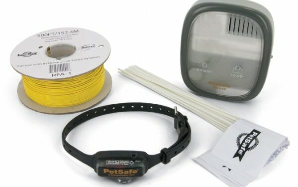 Comment empêcher un chien de sortir du terrain ?