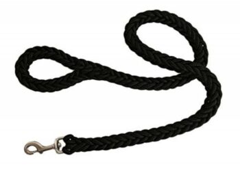 Comment empêcher un chien de tirer en promenade ?