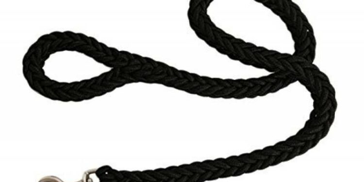 Comment empêcher un chien de tirer en promenade ?