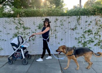 Comment empêcher un chien de tirer en promenade ?