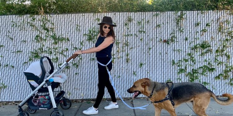 Comment empêcher un chien de tirer en promenade ?