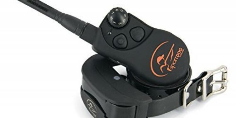 Comment empêcher un chien de tirer en promenade ?