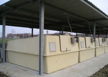 Comment empêcher un cochon de creuser ?