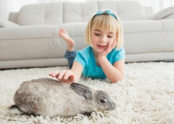 Comment empêcher un lapin de faire ses besoins partout ?