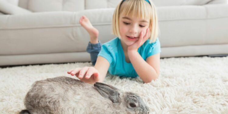 Comment empêcher un lapin de faire ses besoins partout ?