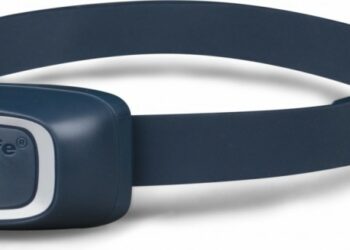 Comment empêcher un petit chien d'aboyer ?