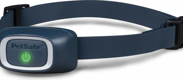 Comment empêcher un petit chien d'aboyer ?