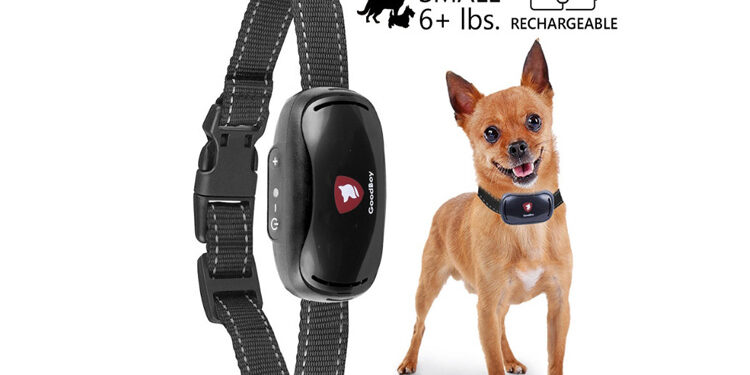 Comment empêcher un petit chien d'aboyer ?