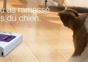 Comment enlever les poils des animaux dans la maison ?