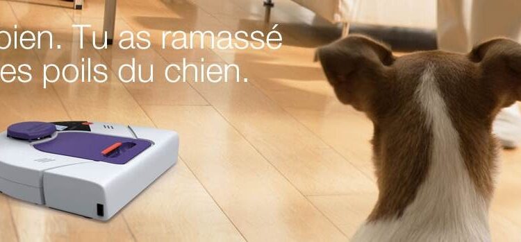 Comment enlever les poils des animaux dans la maison ?