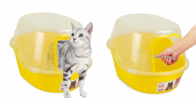 Comment enlever l'odeur de litière de chat ?