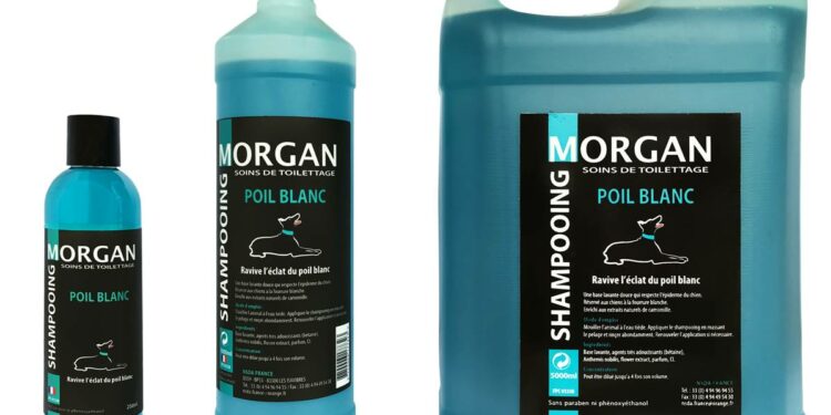 Comment enlever l'odeur d'un chien ?