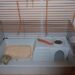 Comment enlever l'odeur d'urine de lapin ?