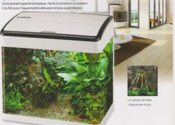 Comment entretenir l'eau d'un aquarium ?