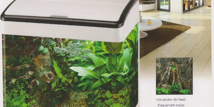 Comment entretenir l'eau d'un aquarium ?