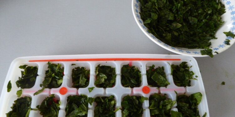 Comment entretenir un pied de physalis ?