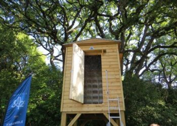 Comment entretenir un pigeonnier ?