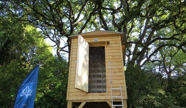 Comment entretenir un pigeonnier ?